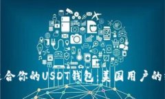 选择最适合你的USDT钱包：美国用户的