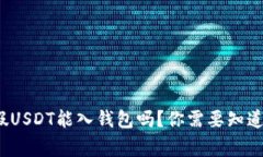 警惕！假USDT能入钱包吗？你需要知道