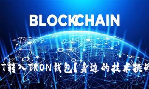 如何轻松将USDT转入TRON钱包？身边的技术挑战也能一一克服！