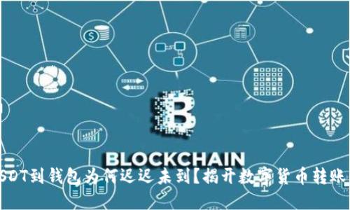 火币转账USDT到钱包为何迟迟未到？揭开数字货币转账的神秘面纱