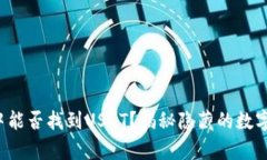 极客钱包中能否找到USDT？揭秘隐藏的