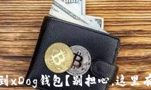 
转错USDT到xDog钱包？别担心，这里有解决方案！