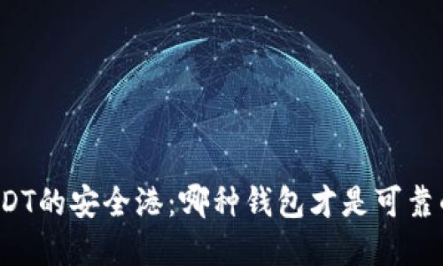 你的USDT的安全港：哪种钱包才是可靠的选择？