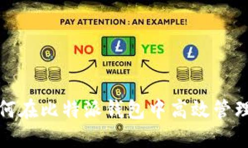 挑战传统：如何在比特派钱包中高效管理多种类USDT