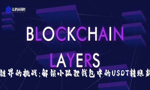 跨越链界的挑战：解锁小狐狸钱包中的USDT转账新方式