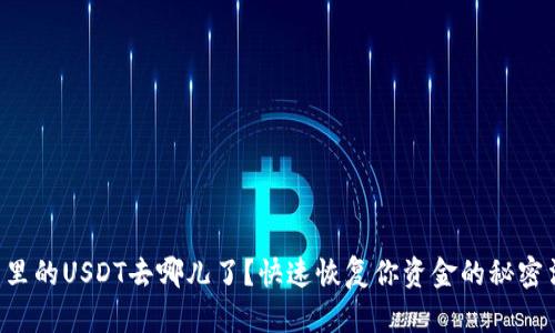 钱包里的USDT去哪儿了？快速恢复你资金的秘密法则!