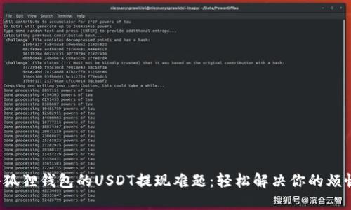小狐狸钱包的USDT提现难题：轻松解决你的烦恼！