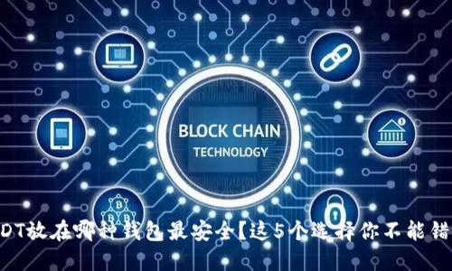 USDT放在哪种钱包最安全？这5个选择你不能错过！