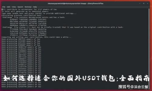 如何选择适合你的国外USDT钱包：全面指南