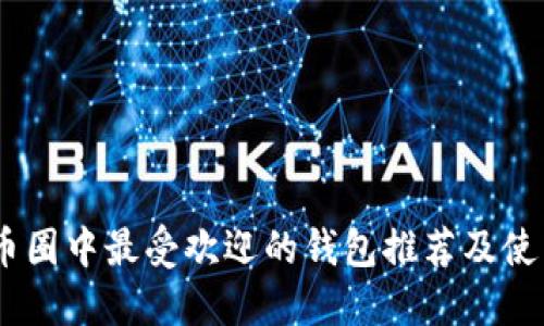 USDT币圈中最受欢迎的钱包推荐及使用指南