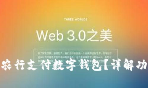 如何高效使用农行支付数字钱包？详解功能与操作步骤