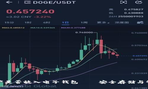 加密资产是否放入电子钱包——安全存储与管理指南