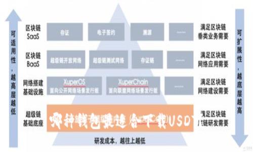 哪种钱包最适合下载USDT？