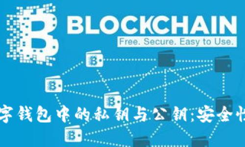 深入了解数字钱包中的私钥与公钥：安全性与使用指南