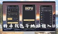 : 如何使用比特币钱包子地址转入USD