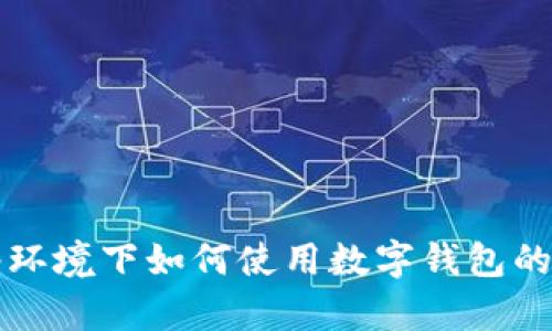 没有网络环境下如何使用数字钱包的解决方案