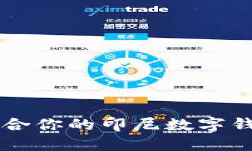 如何选择适合你的印尼数字钱包应用平台