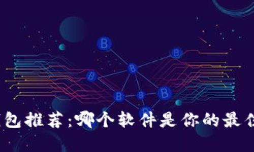 数字钱包推荐：哪个软件是你的最佳选择？