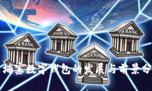 柬埔寨数字钱包的发展与前景分析