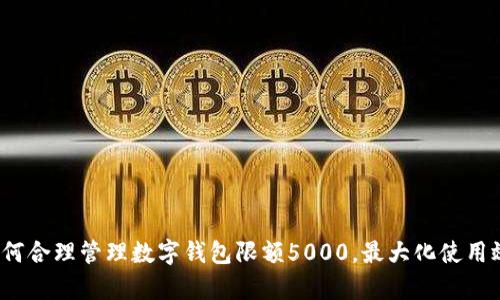  如何合理管理数字钱包限额5000，最大化使用效率
