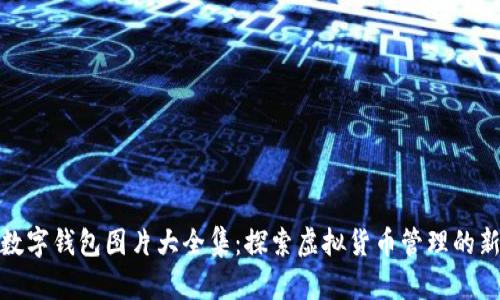 狐狸数字钱包图片大全集：探索虚拟货币管理的新选择