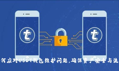 : 如何应对USDT钱包维护问题，确保资产安全与流动性