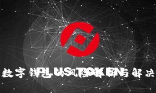 企业数字钱包的风险解析与解决方案