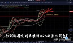 如何选择支持区块链ADA的最佳钱包？