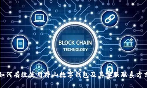 如何有效使用坪山数字钱包及其客服联系方式