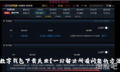 数字钱包下载失败？一站解决所有问题