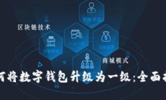 如何将数字钱包升级为一级：全面指南