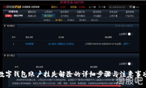 数字钱包账户挂失解除的详细步骤与注意事项