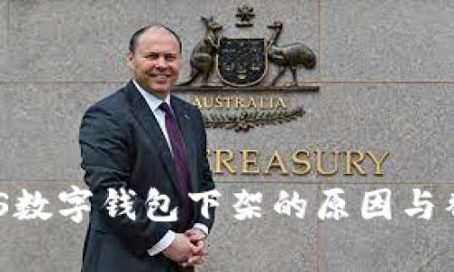 解析BDS数字钱包下架的原因与替代方案