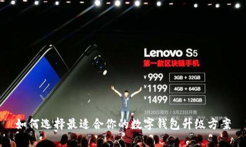 如何选择最适合你的数字钱包升级方案