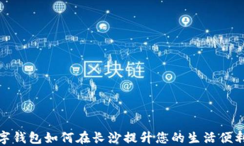 
数字钱包如何在长沙提升您的生活便利性