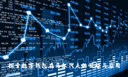 探索数字钱包在马尔代夫的崛起与应用