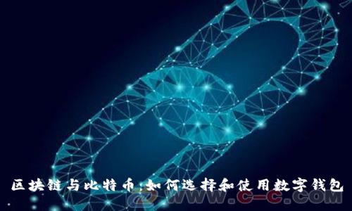 区块链与比特币：如何选择和使用数字钱包
