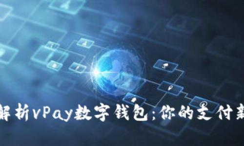 全面解析vPay数字钱包：你的支付新选择