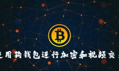 : 如何有效地使用狗钱包进行加密和视频交易的安全性分析