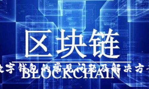 数字钱包的常见问题及解决方案