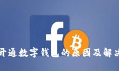 无法开通数字钱包的原因及解决方案