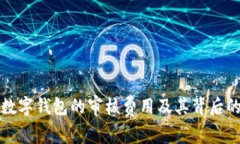 如何理解数字钱包的审核费用及其背后