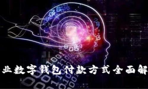 企业数字钱包付款方式全面解析