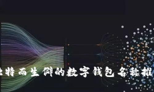 独特而生僻的数字钱包名称推荐