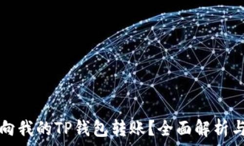   
国外可否向我的TP钱包转账？全面解析与实践指南