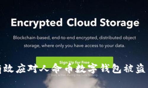 如何有效应对人命币数字钱包被盗的情况