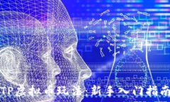   TP虚拟币玩法：新手入门指南