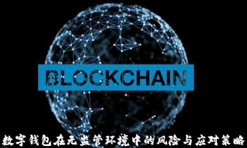 
数字钱包在无监管环境中的风险与应对策略