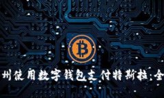 如何在苏州使用数字钱包支付特斯拉：