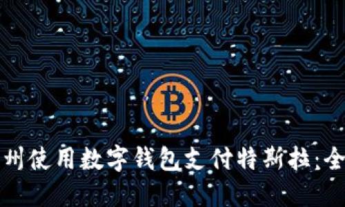 如何在苏州使用数字钱包支付特斯拉：全方位指南